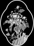 书柜上板菊