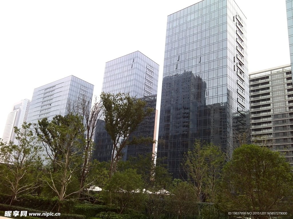 办公楼 商务 绿植 地产 实景