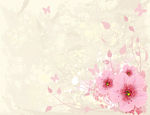 粉色 淡雅 花卉 背景图 桃花