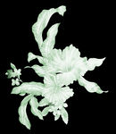 花卉浮雕
