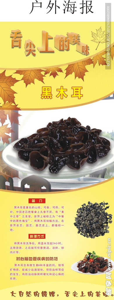 黑木耳海报