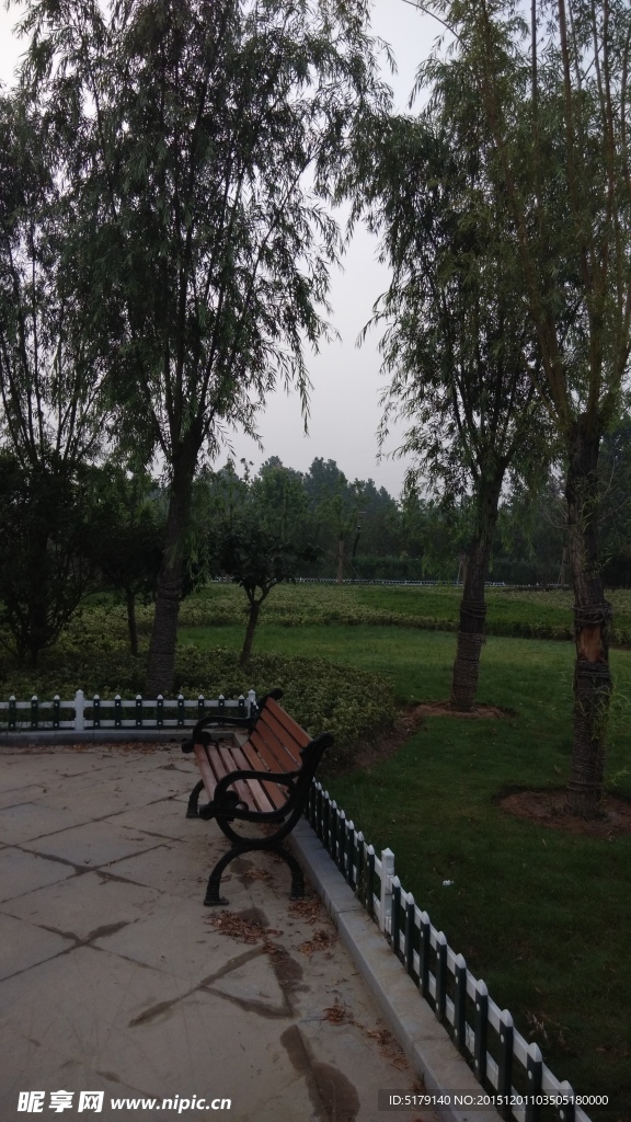 公园风景