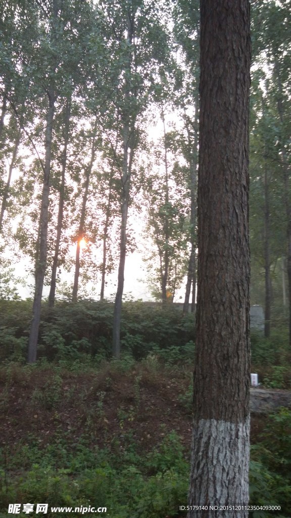 日出 太阳  一路风景 风景