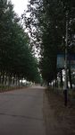 一路风景