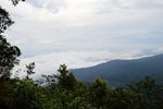 素贴山