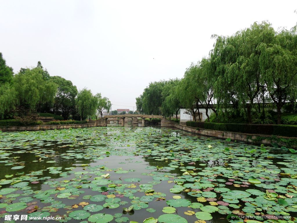 浙江古运河畔风景