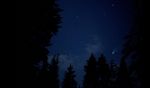夜晚森林视频