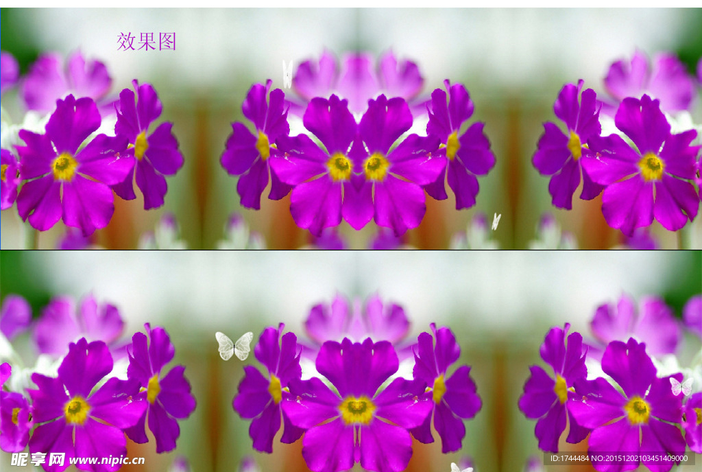 紫色花视频背景素材