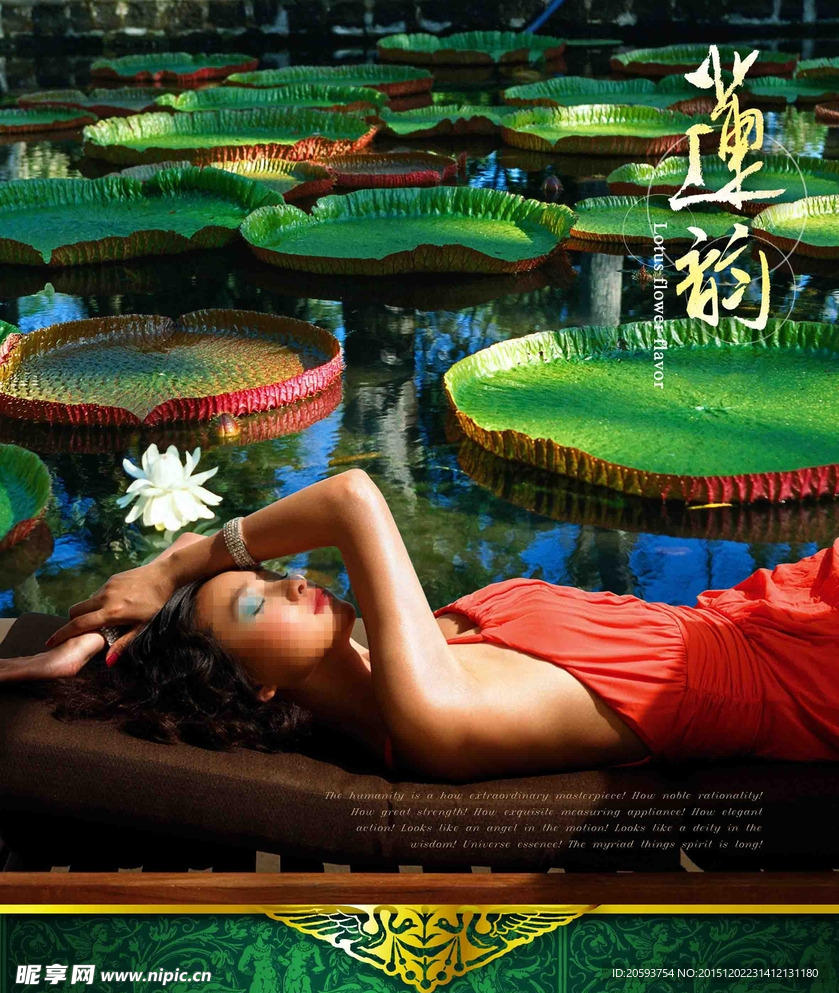 禅意 荷花