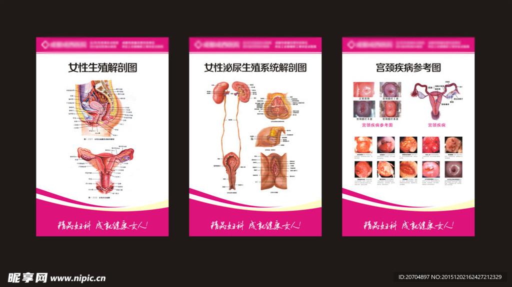 妇科医生办公室解剖图