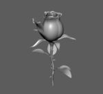 精致玫瑰maya3d模型