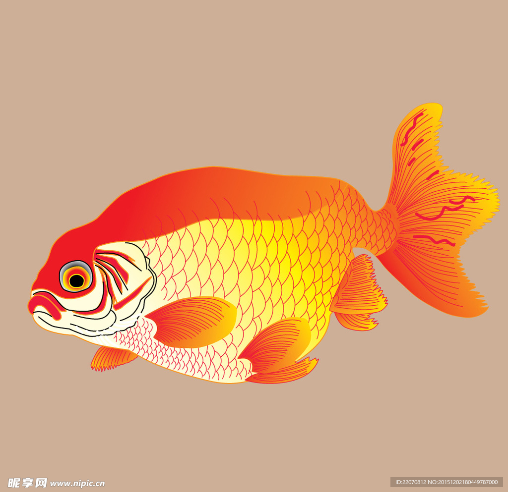 鱼