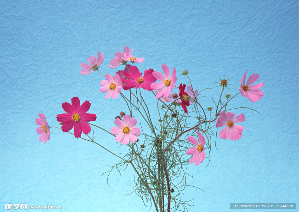 鲜花