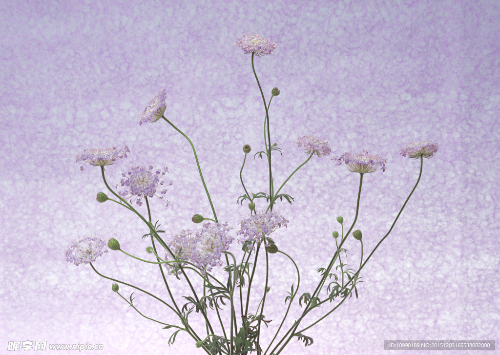 鲜花
