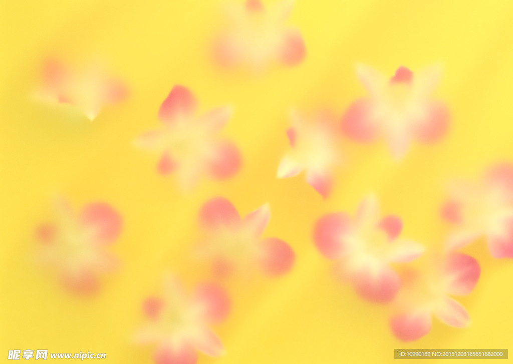 百花争艳