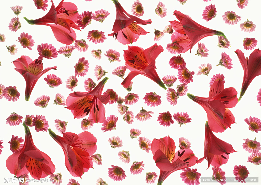 百花争艳