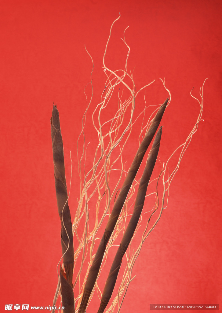 风干花朵素材