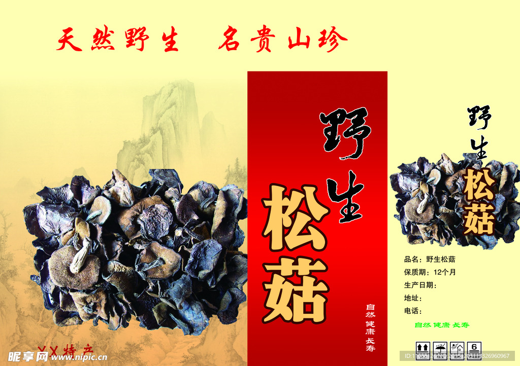野生松菇
