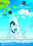 饮料 树叶 冰块