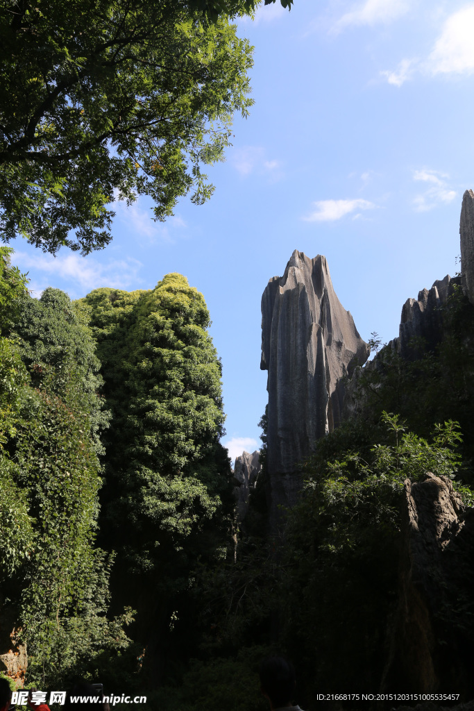 石林风景