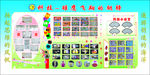 小学科技之光展览