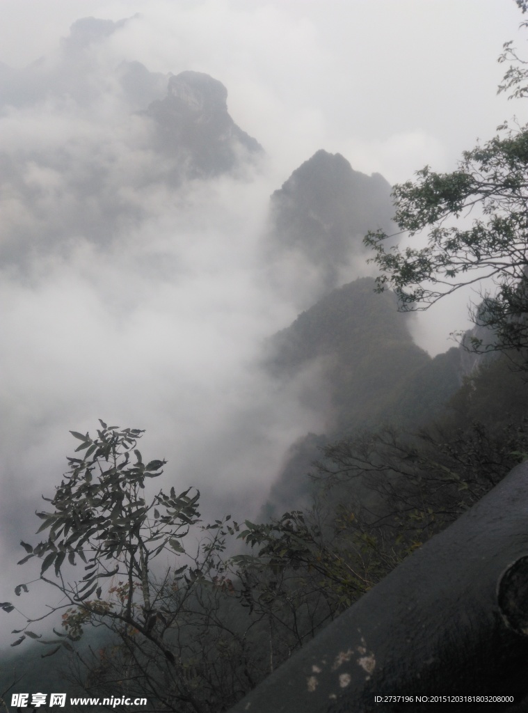 天门山森林公园