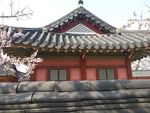 飞檐 古建筑
