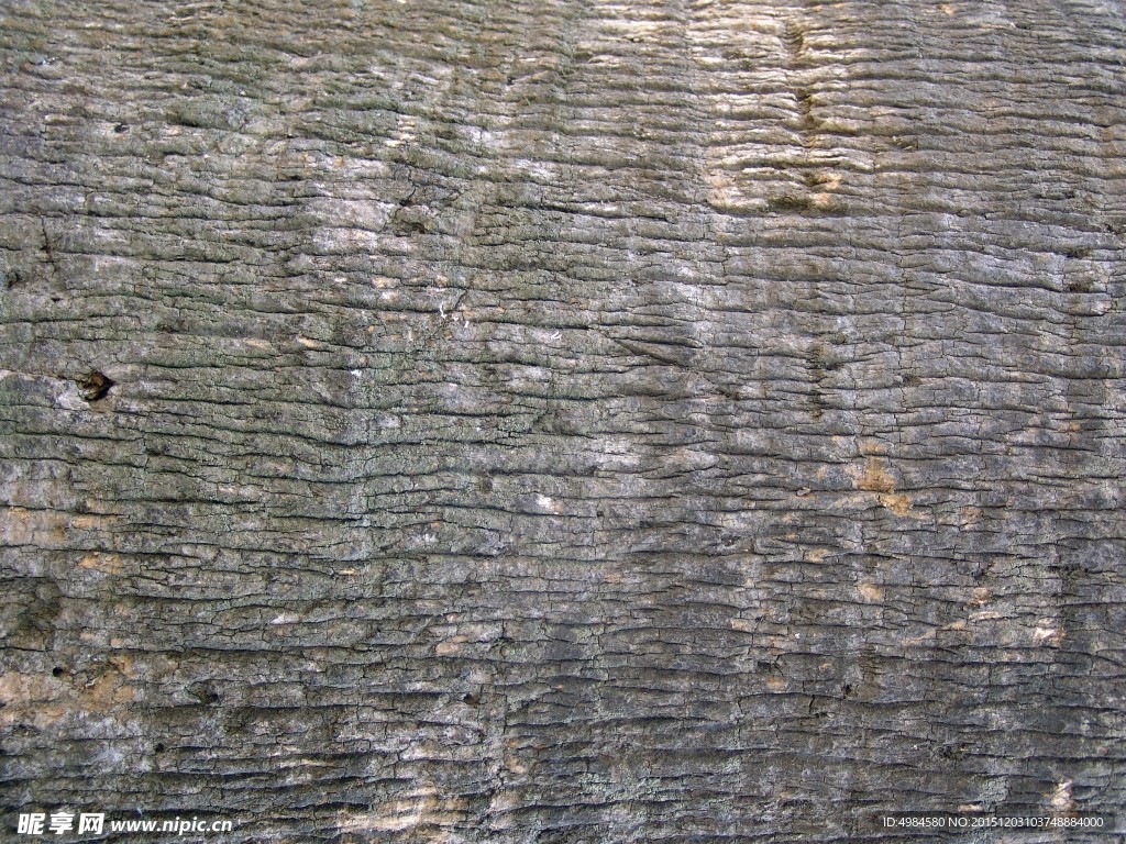 树皮纹理贴图