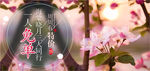 海棠晓月banner