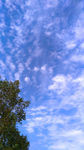 晴空
