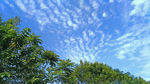 秋天的晴空