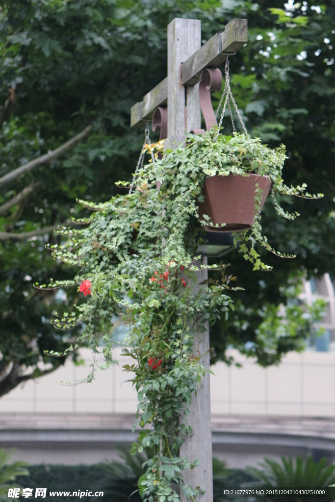 吊花篮