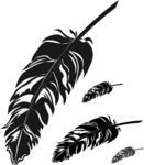 羽毛