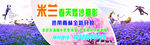 婚纱摄影广告