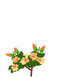 花枝矢量图