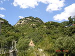 青山 绿树 吊桥