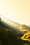 山