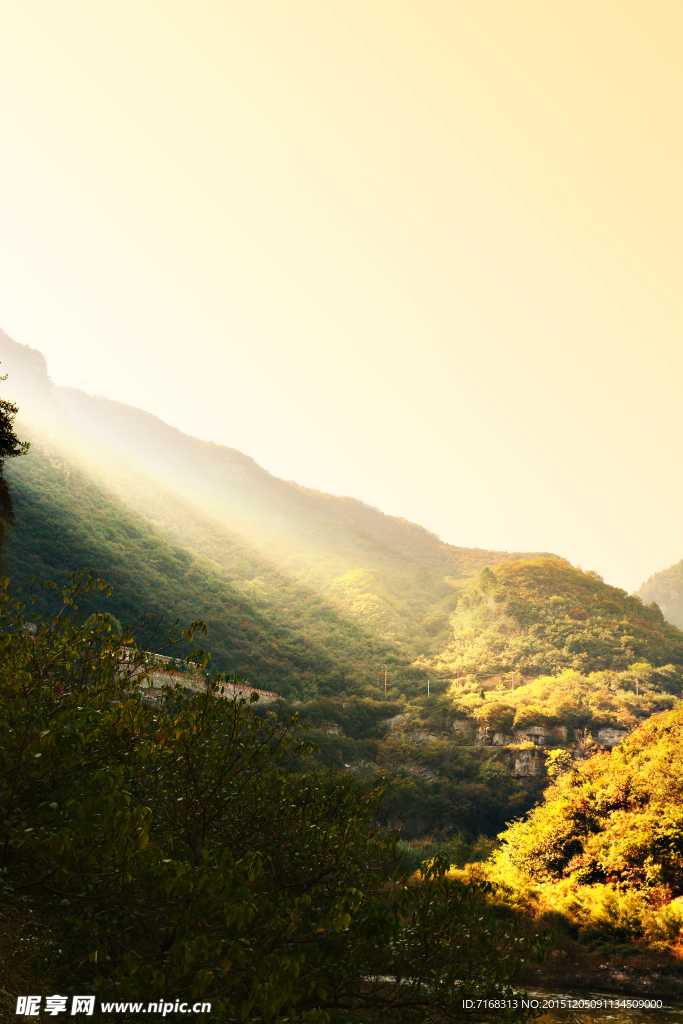 山