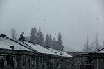落雪