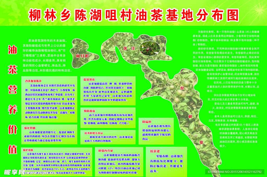 油茶营养价值