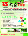 大益普洱茶海报
