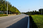 道路美景