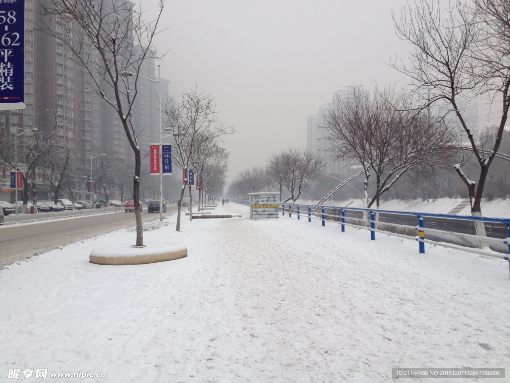 冬日雪景 马路