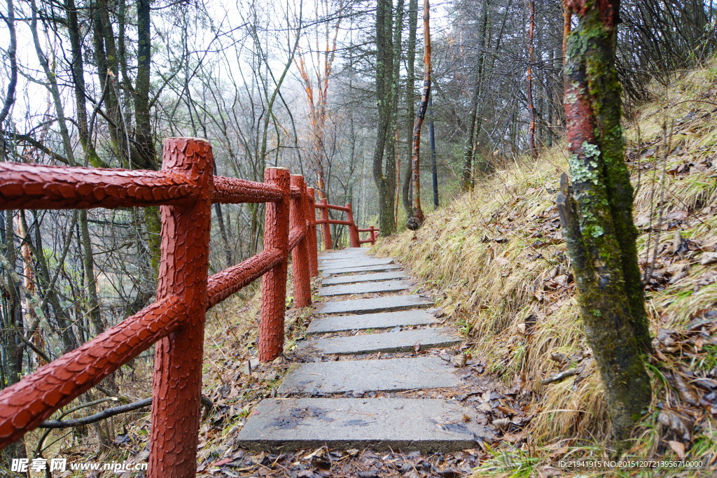 山路