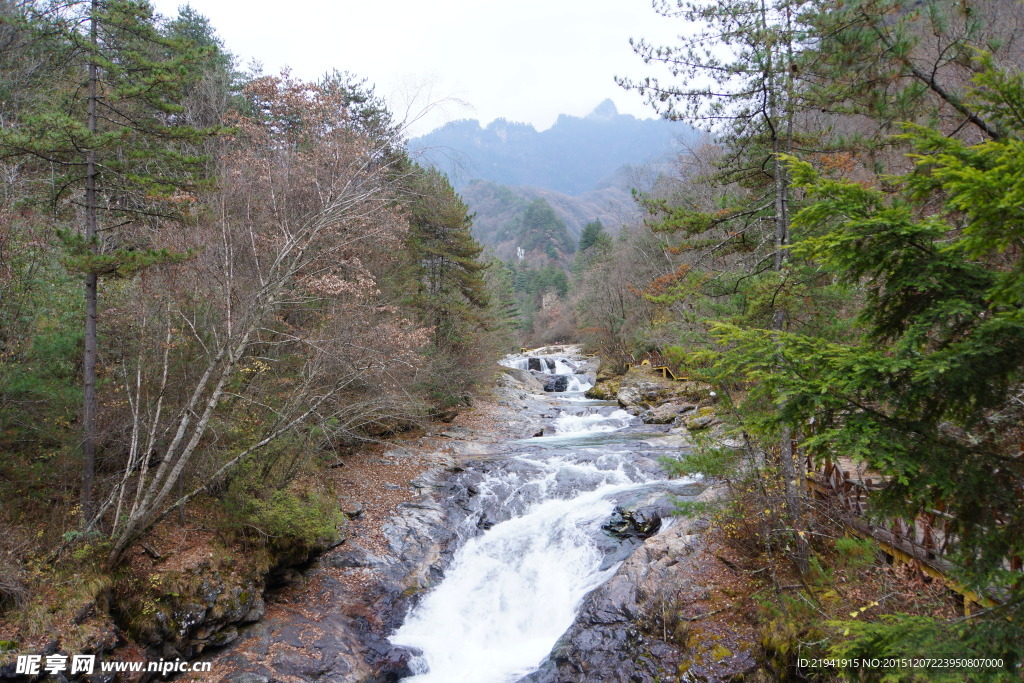 山涧溪水