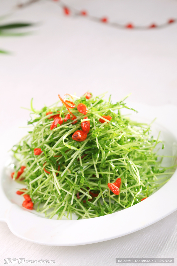 枸杞苦菊