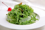 金钩苦菊