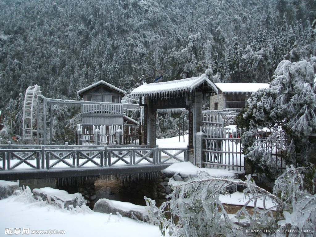 雪景