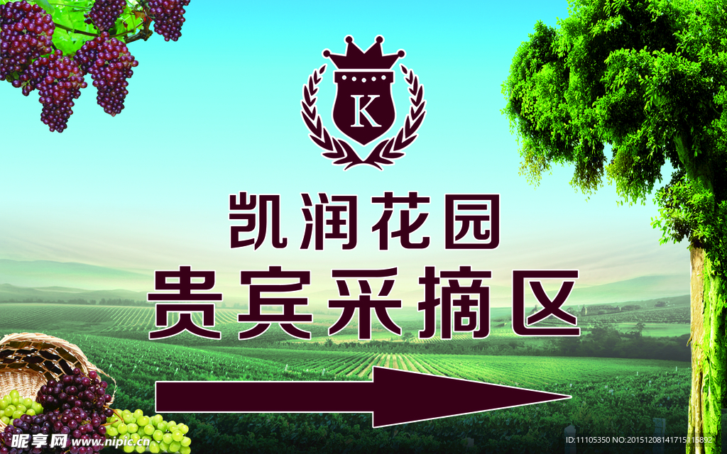 果蔬采摘区