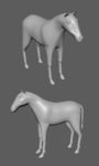 精致马驹maya3d模型